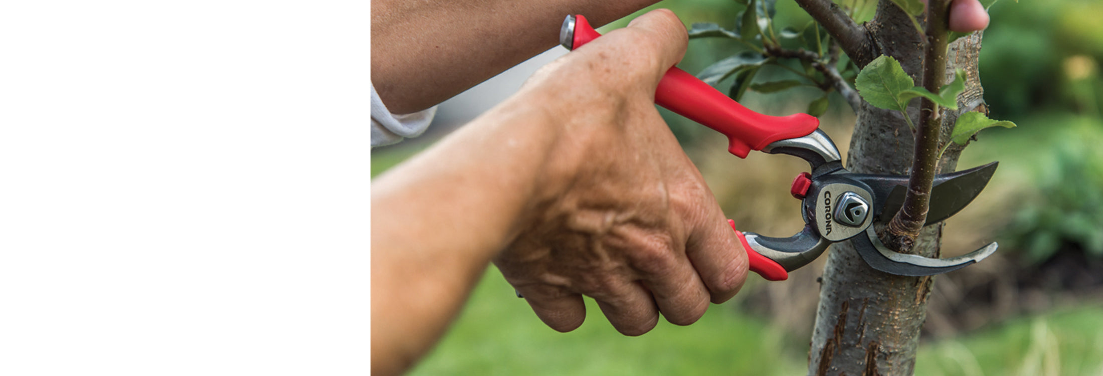 Trade Corona Tools