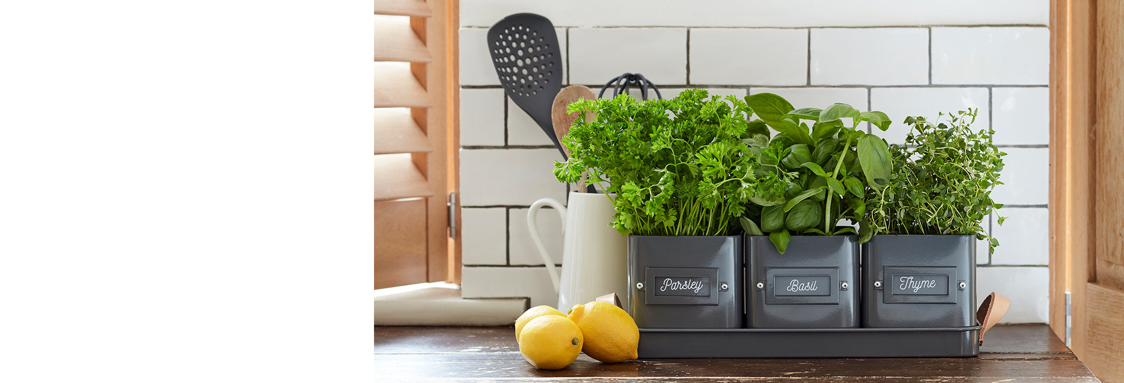 Trade Growing your own Herbs