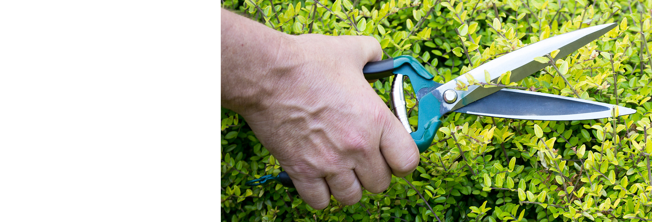 Trade Hand Shears & Snips