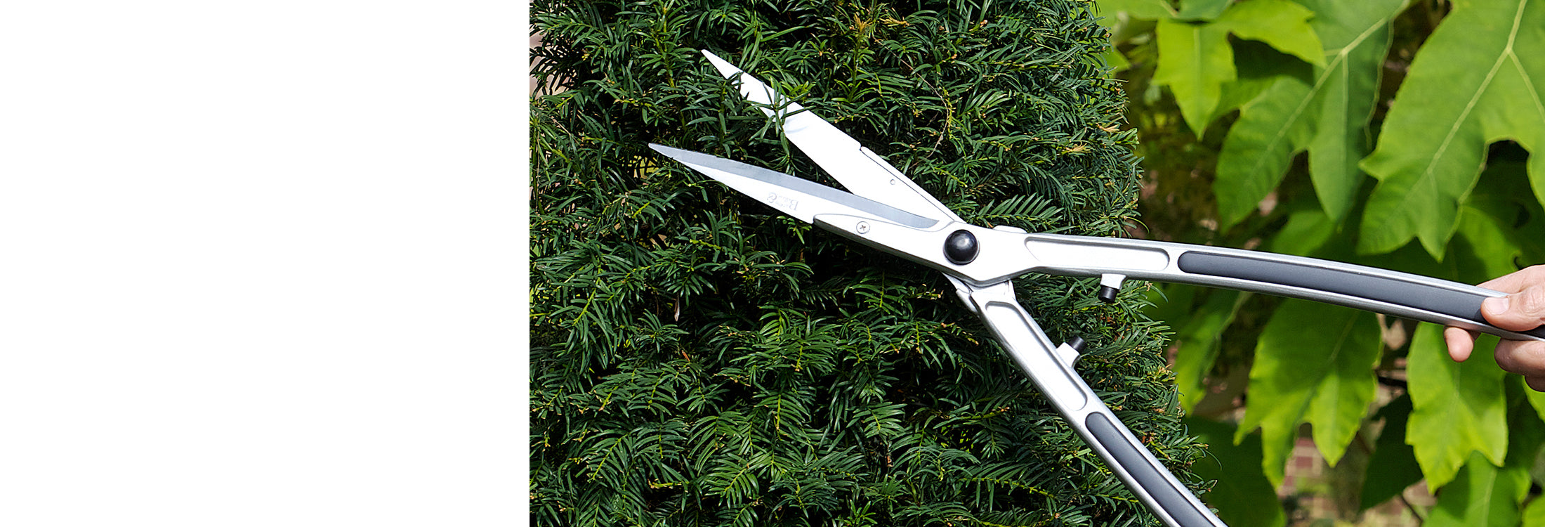 Trade Hedge & Lawn Shears