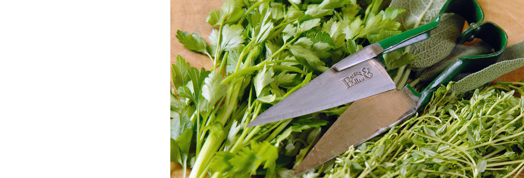 Trade Herb Harvesting