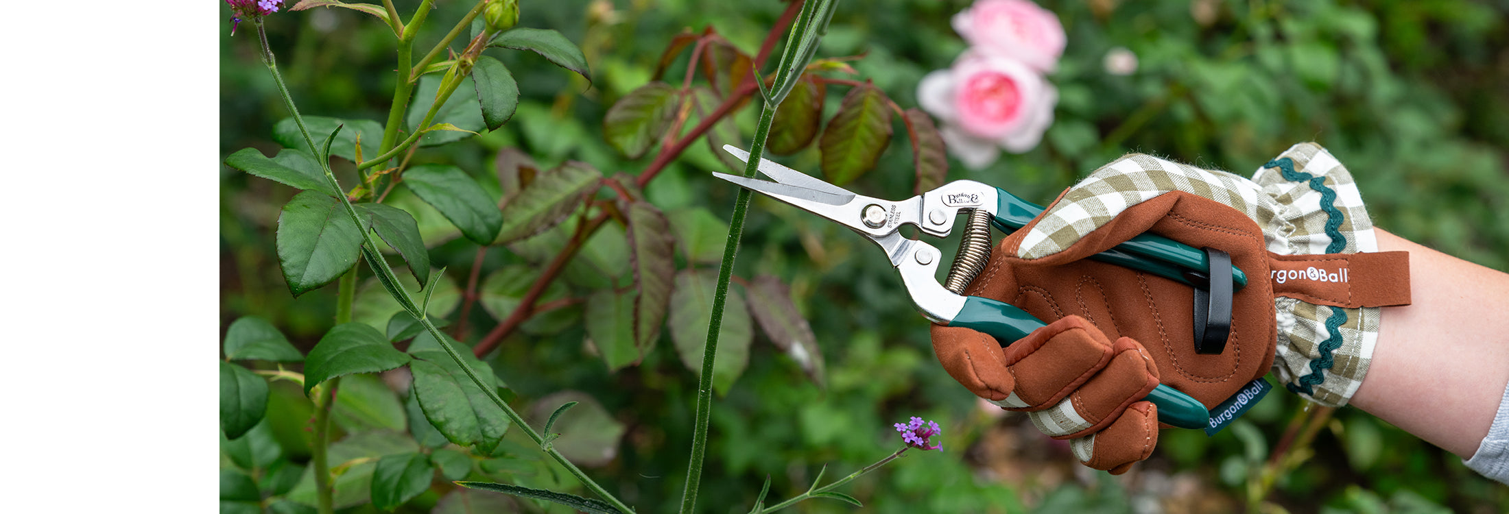 Tools for Deadheading