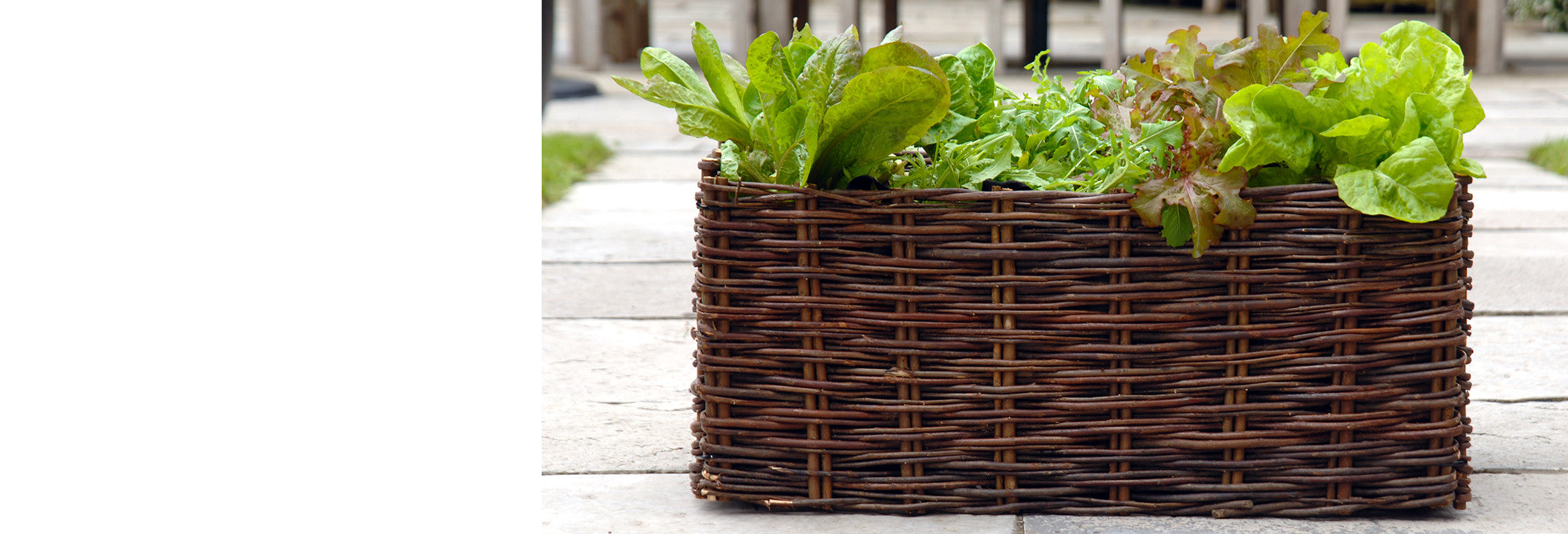 Outdoor Planters