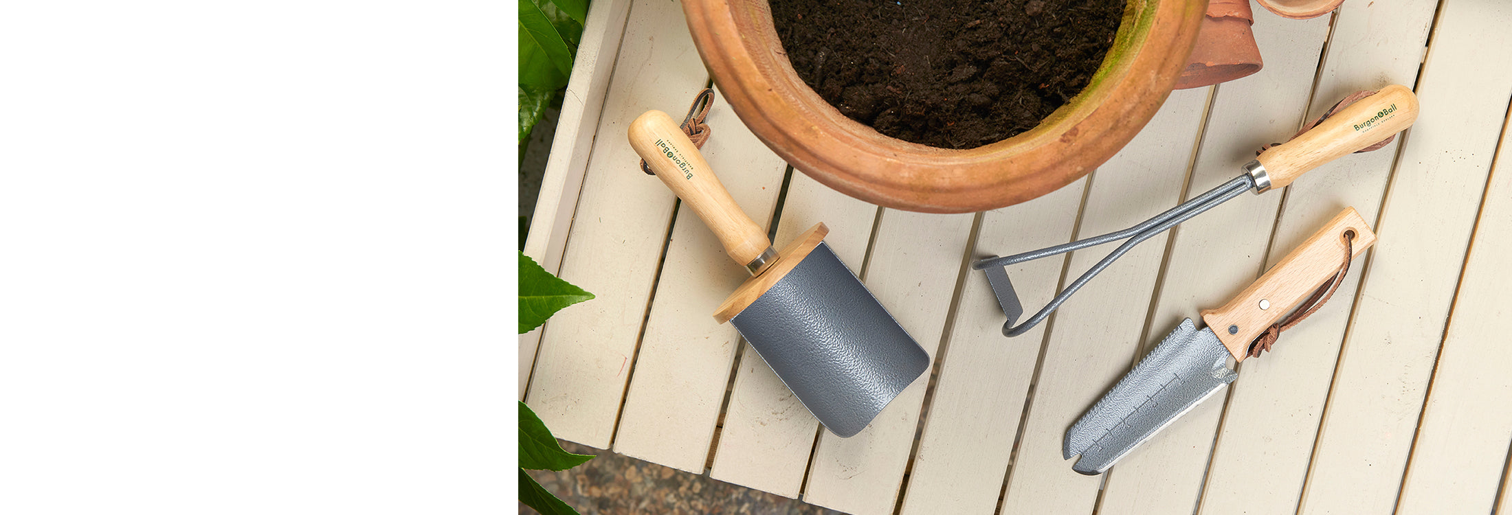 Trade RHS Container Gardening