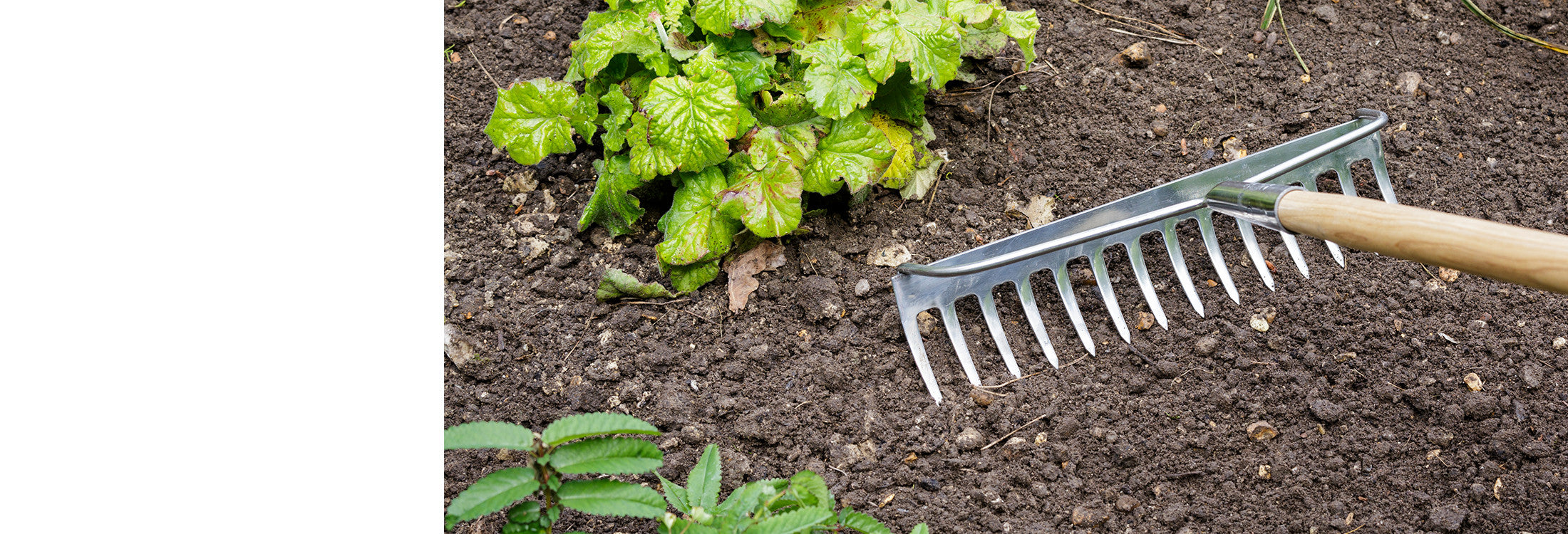 Trade Long Handled Rakes