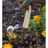 BoronGreen Dibber, RHS Endorsed, by Burgon & Ball