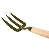 BoronGreen Mid Handled Fork, RHS-Endorsed, by Burgon & Ball