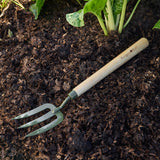 BoronGreen Mid Handled Fork, RHS-Endorsed, by Burgon & Ball
