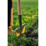 BoronGreen Lawn Edger - RHS Endorsed