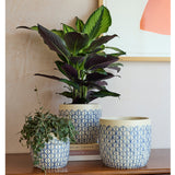 Collector Glazed Pot, Crème Geo, 18cm, by Burgon & Ball
