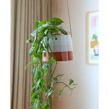 Collector Hanging Pot, Terracotta/Blush, 12.5cm diameter, by Burgon & Ball