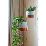 Collector Hanging Pot, Terracotta/Blush, 9.5cm diameter, by Burgon & Ball