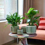 Collector Glazed Pot, Green Stripe, 18cm, by Burgon & Ball