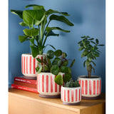 Collector Glazed Pot, Red Stripe, 16cm, by Burgon & Ball