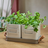 Collector Herb Pots, Mushroom colour, by Burgon & Ball