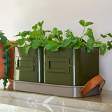 Collector Herb Pots, Olive, by Burgon & Ball