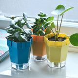 RHS Growing Gardeners Link-a- Pots set of 3 indoor plant pots, by Burgon & Ball