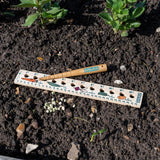 RHS Growing Gardeners children's planting ruler and dibber set by Burgon & Ball
