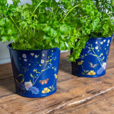 RHS Gifts for Gardeners 'British Meadow' Herb Pots by Burgon & Ball