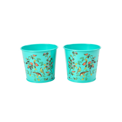 RHS Gifts for Gardeners 'Flora and Fauna' Herb Pots by Burgon & Ball 