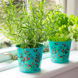 RHS Gifts for Gardeners 'Flora and Fauna' Herb Pots by Burgon & Ball 