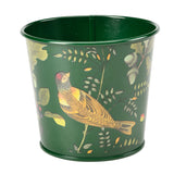 RHS Gifts for Gardeners 'Woodland Wonders' Herb Pots by Burgon & Ball