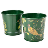 RHS Gifts for Gardeners 'Woodland Wonders' Herb Pots by Burgon & Ball