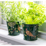 RHS Gifts for Gardeners 'Woodland Wonders' Herb Pots by Burgon & Ball