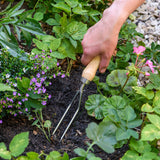 Weeding Fork - RHS Endorsed, by Burgon & Ball