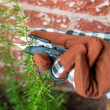 RHS-endorsed micro snips by Burgon & Ball