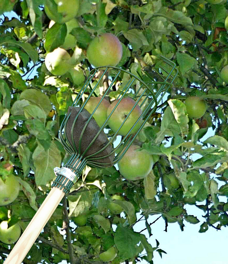 Apple Picker