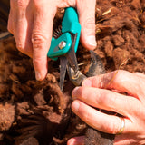 Burgn & Ball Footrot Shear Farmer Pack - Professional Footrot Shear with Plain BladesPlain