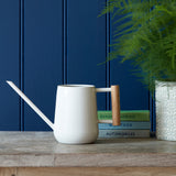 Indoor watering can by Burgon & Ball - stone. Succulent can.