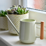 Indoor Watering Can, Pale Jade colour, by Burgon & Ball