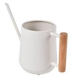Indoor watering can by Burgon & Ball - stone. Succulent can.
