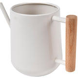Indoor watering can by Burgon & Ball - stone. Succulent can.