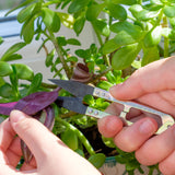 Mini Snips by Burgon & Ball