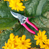 Burgon & Ball FloraBrite RHS-endorsed fluorescent pink pocket pruner