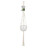 Monterey Macrame Plant Pot Hanger by Burgon & Ball