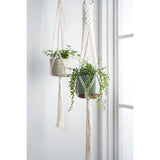Woodstock macramé plant pot hanger by Burgon & Ball