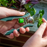 Houseplant pruner by Burgon & Ball