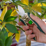 Houseplant pruner by Burgon & Ball