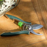Houseplant pruner by Burgon & Ball
