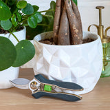 Houseplant pruner by Burgon & Ball