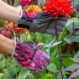 RHS Gifts for Gardeners British Bloom women's gardening gloves by Burgon & Ball, ladies' gardening gloves 