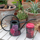 Burgon and Ball RHS Gifts for Gardeners 'British Bloom' indoor watering can