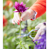 Sophie Conran for Burgon & Ball precision secateur for gardening
