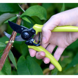 Burgon & Ball RHS-endorsed micro secateur - green